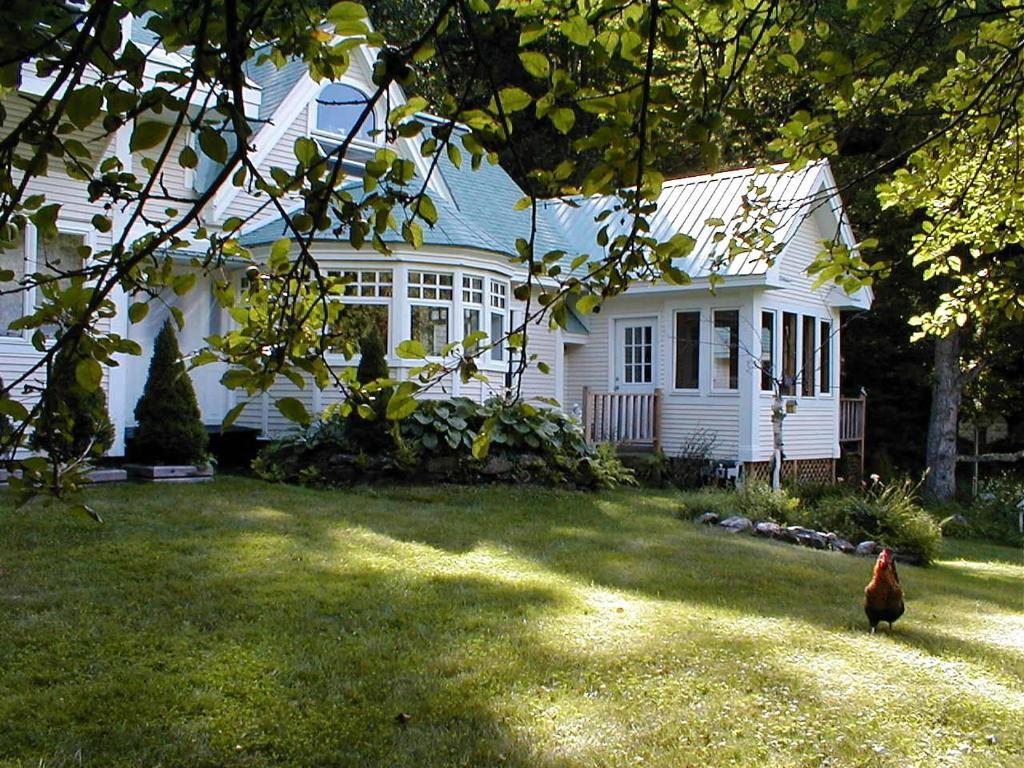 Mountain Valley Retreat Killington Buitenkant foto